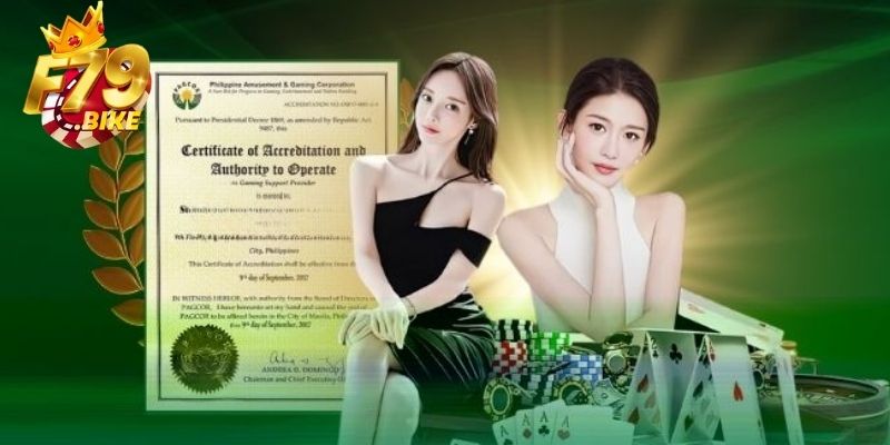 4 loại giấy phép hoạt động F79 quan trọng