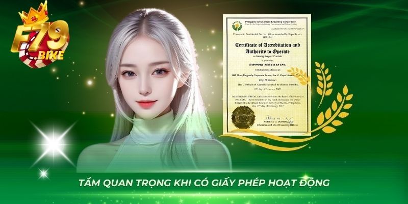 4 mục đích quan trọng của giấy phép hoạt động F79