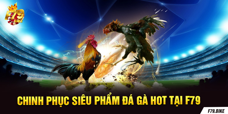 Chinh phục siêu phẩm đá gà hot tại nền tảng uy tín