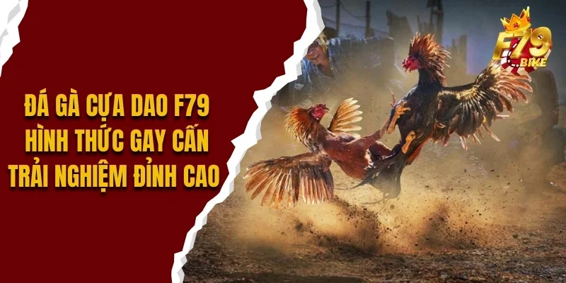 da-ga-cua-dao-f79